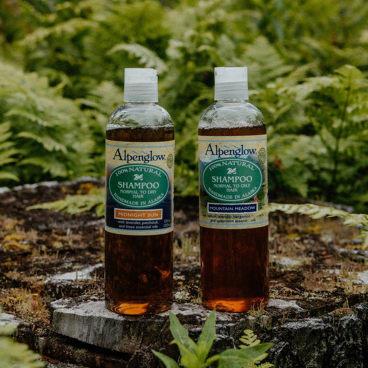Shampoo, Midnight Sun (Normal-Oily) ALP