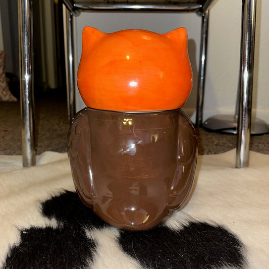11" Retro Owl Ceramic Candy Cookie Snack Jar
