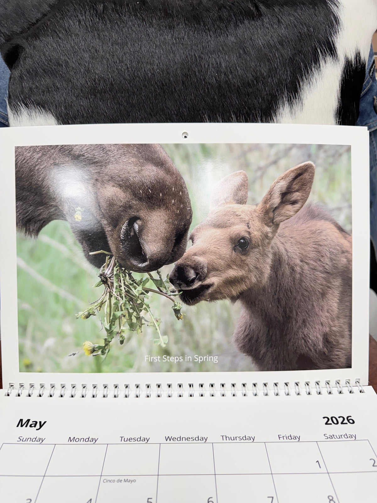"Where Wilderness Breathes" 2026 Alaska Calendar