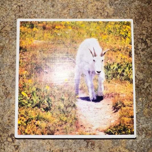 2pcs Kenai Alaska Vintage Ceramic Tile Coaster Set