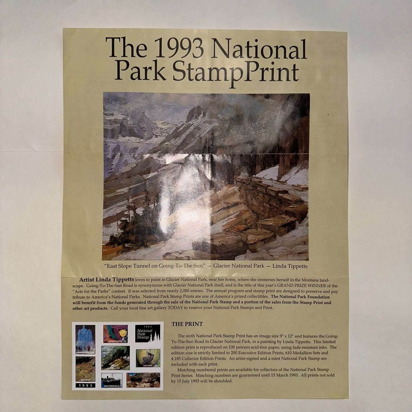 "East Slope Tunnel On Going to the Sun" Glacier National Park Framed Art