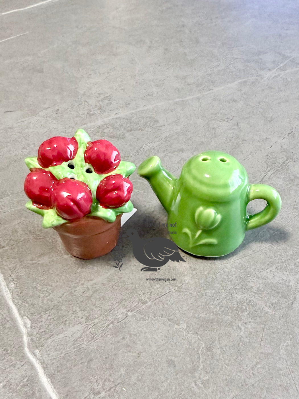 2pc Flower Pot + Watering Can Salt & Pepper Shaker Set