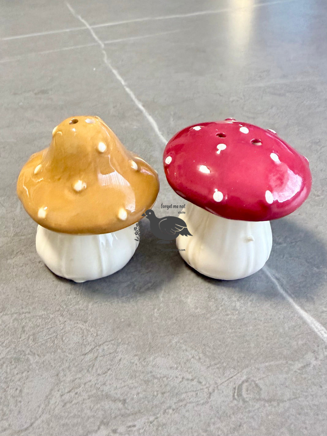 2pc Red + Brown Mushroom Salt & Pepper Shaker Set