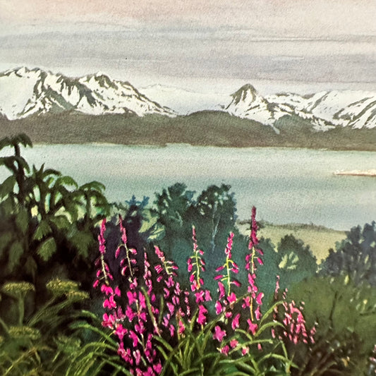 "Homer Spit Katchemak Bay Summer View" Water Color Painting 4x8" Art Print