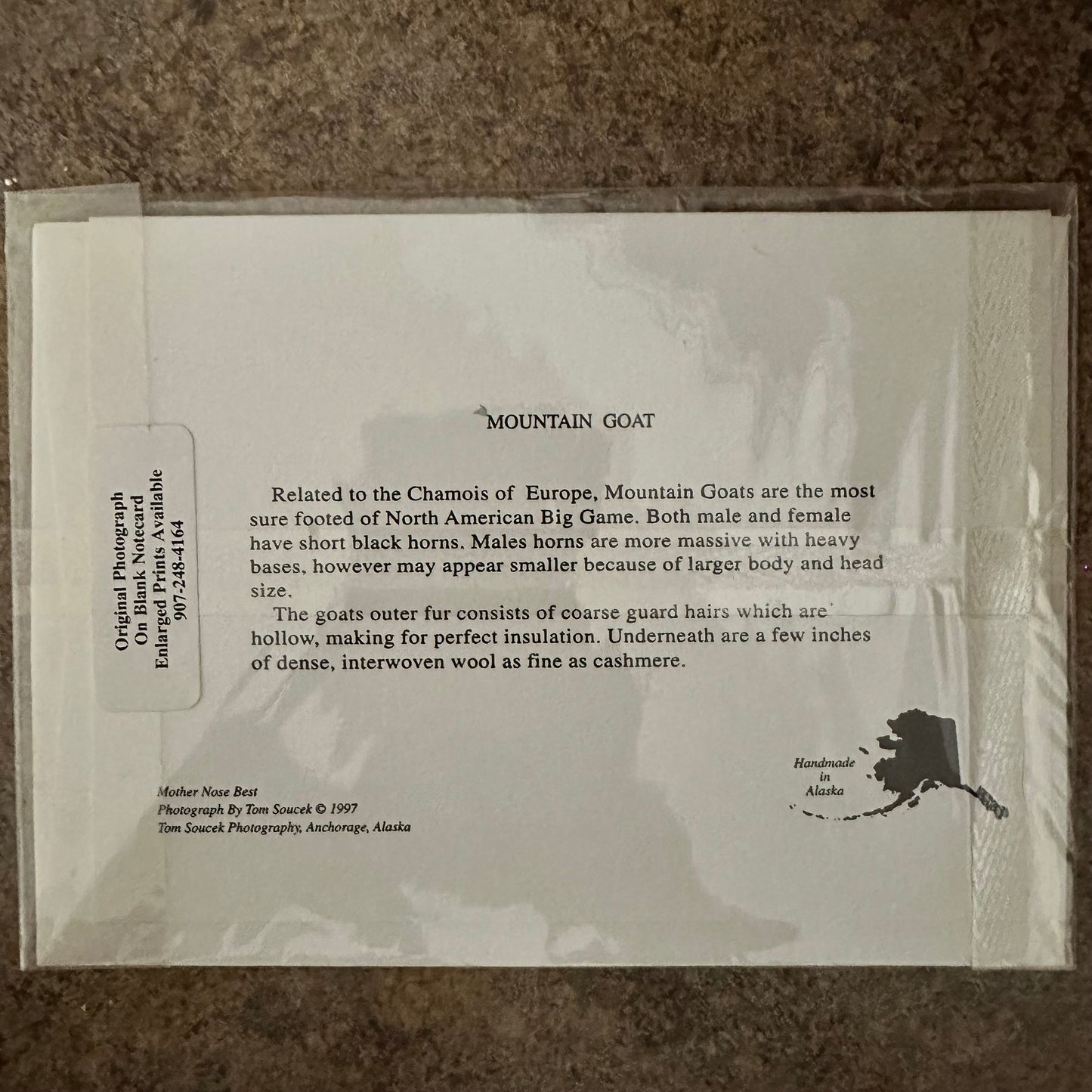 "Mother Nose Best" Color Photo Card, 6.75"X5" Art Print