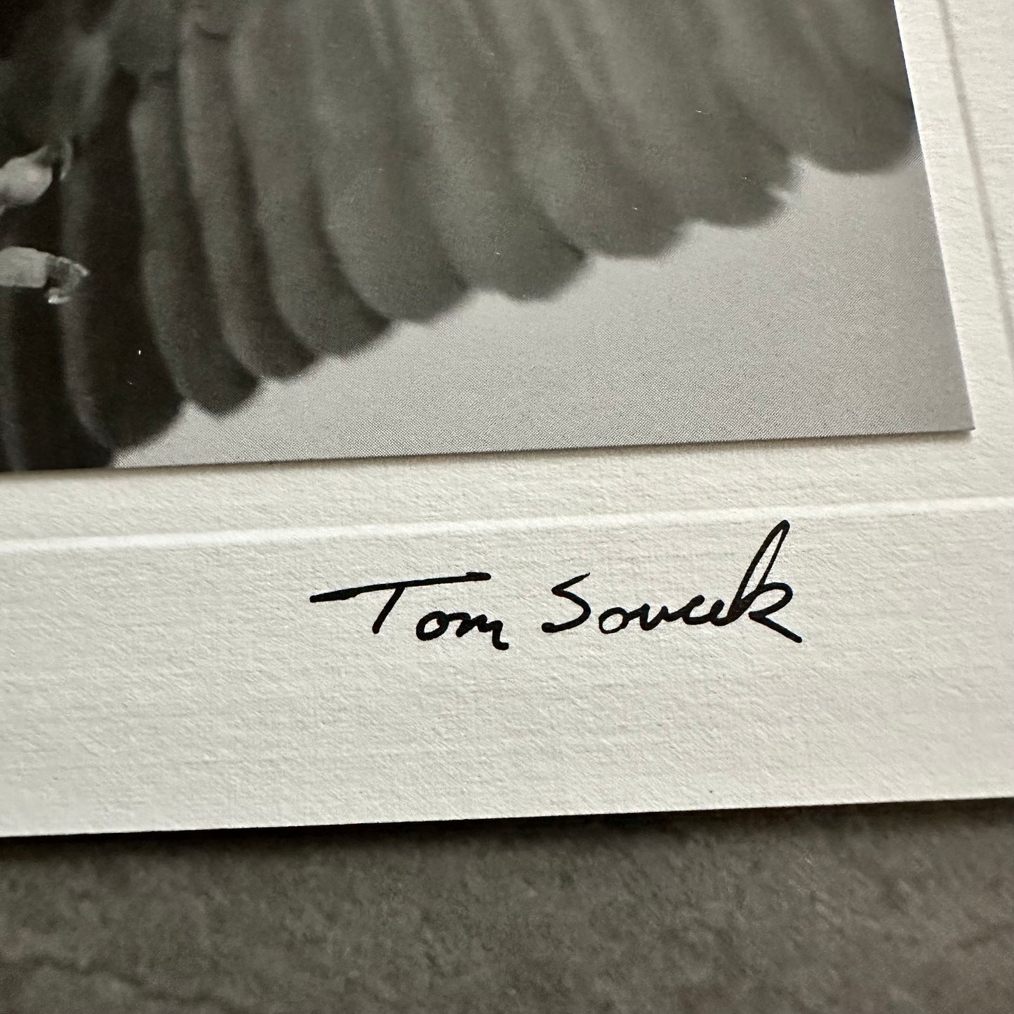 "Gotcha NC 76" Eagle Black & White Photo Card, 6.75"X5" Art Print
