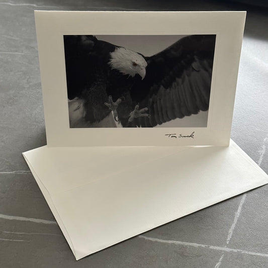 "Gotcha NC 76" Eagle Black & White Photo Card, 6.75"X5" Art Print