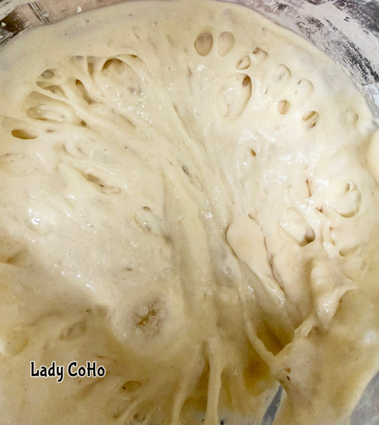 Meet Lady CoHo: My New 116+ Year-Old Sourdough Pet
