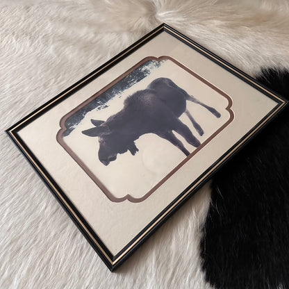 Moose Photo in Custom Matte & Frame