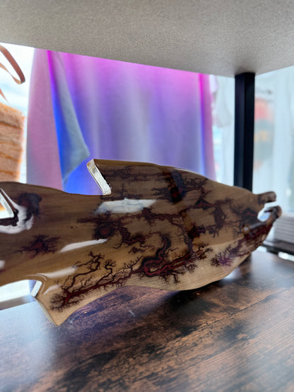 Salmon Lichtenberg Wood Burn Resin Wall Decor MAD