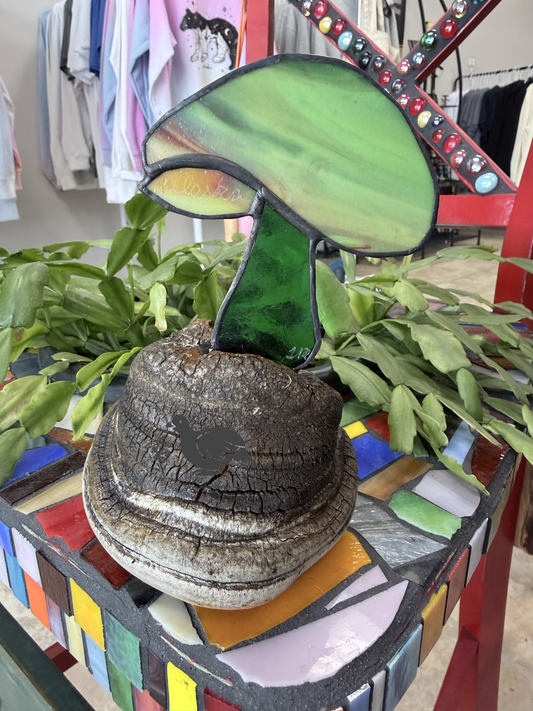 Alaska Mushroom Stained Glass Art On Wood Burl AKR