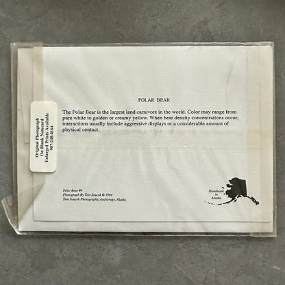 "Polar Bear #4" Color Photo Card, 6.75"X5" Art Print