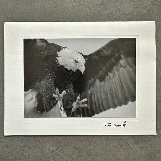"Gotcha NC 76" Eagle Black & White Photo Card, 6.75"X5" Art Print