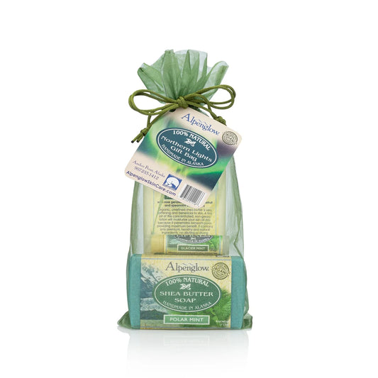 Gift Bag - Northern Lights ALP