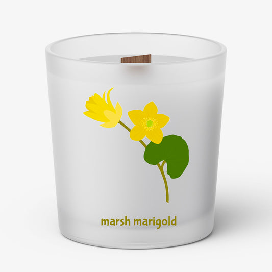 Marsh Marigold Wood Wick Candle, 12oz Glass Jar